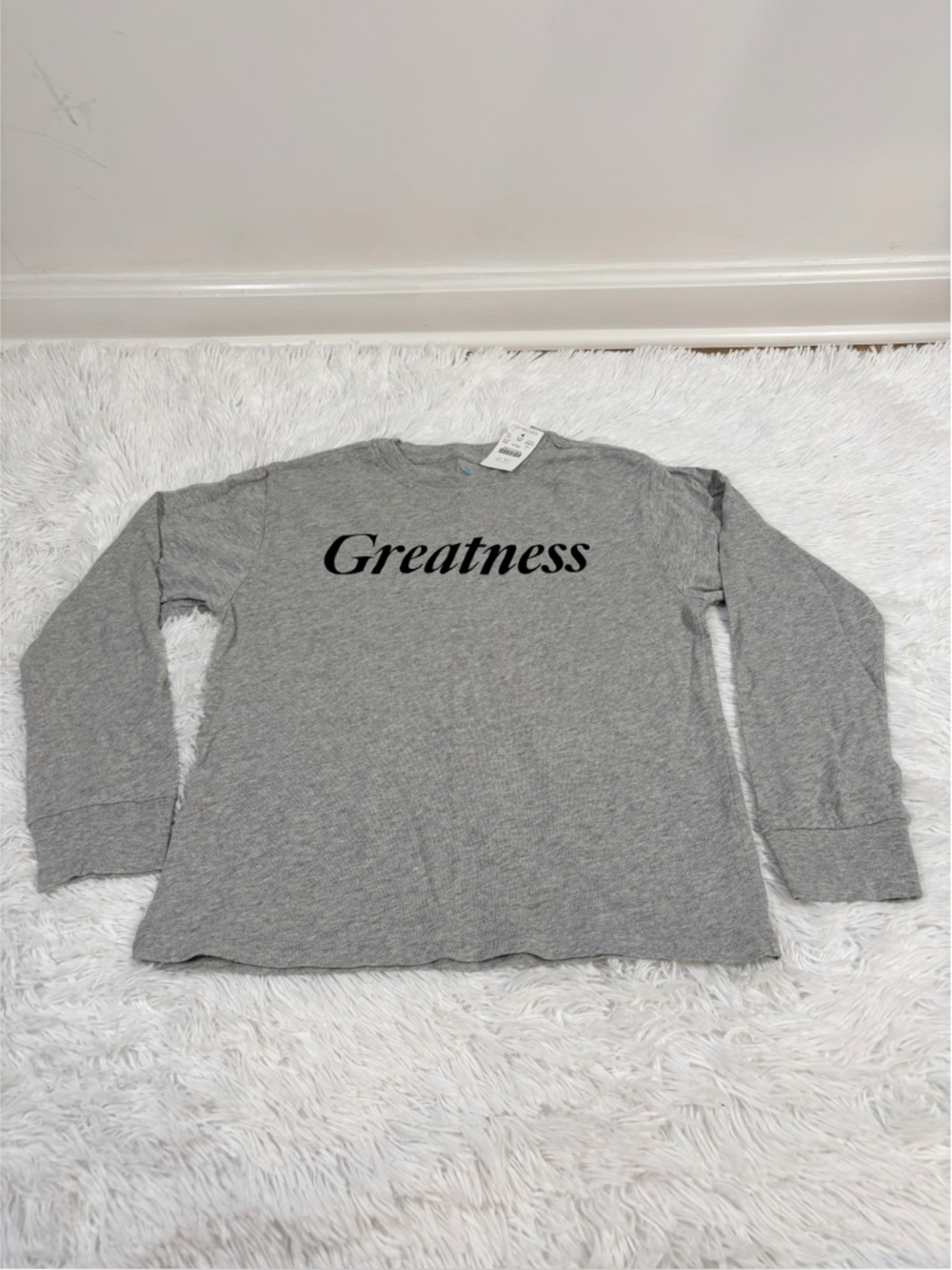 Crewcuts NWT boy's Gray Graphic Long Sleeve crew neck Greatness Tee